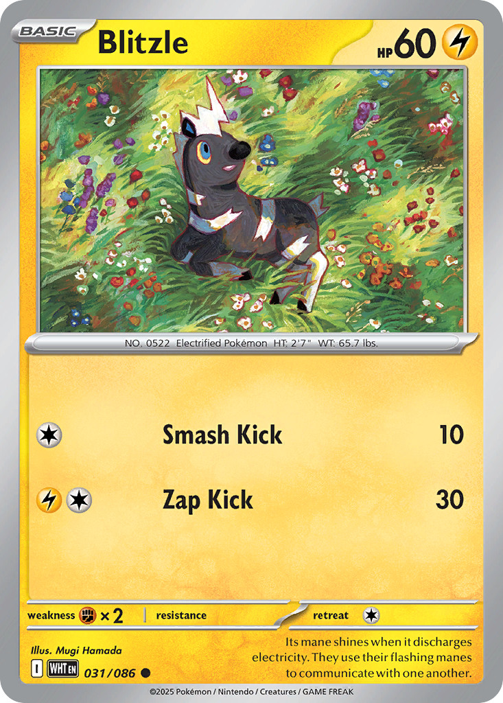 Blitzle — White Flare 031/086 Pokémon card