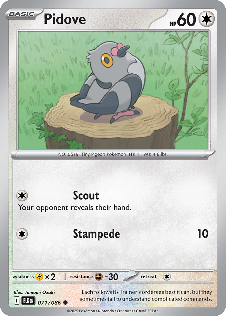Pidove 071/086 — Black Bolt Pokémon TCG