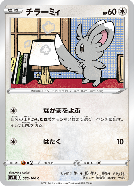 Minccino (JP) [Star Birth]