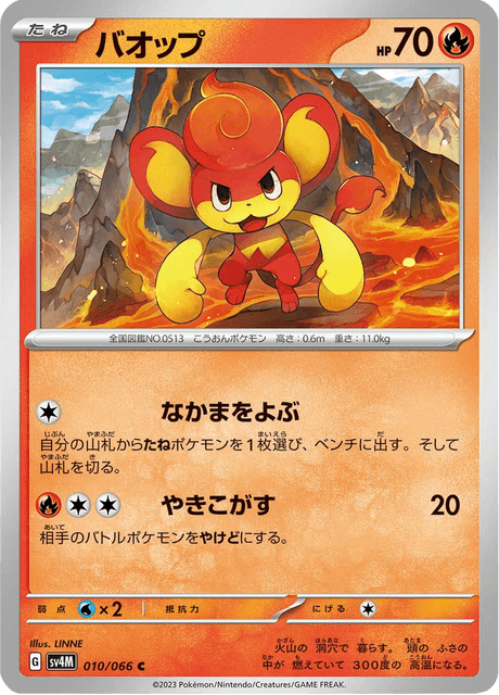 Pansear (JP) [Future Flash]