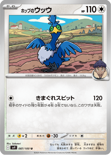 Hop's Cramorant (JP) [Battle Partners]