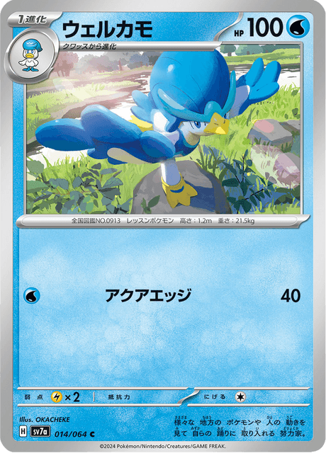 Quaxwell (JP) [Paradise Dragona]