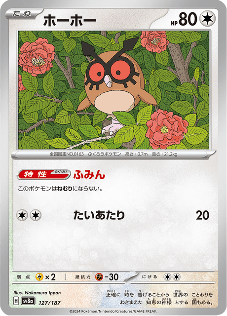 Hoothoot (JP) [Terastal Festival ex]