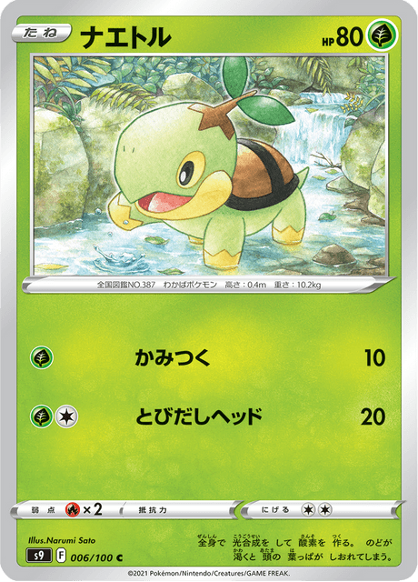 Turtwig (JP) [Star Birth]