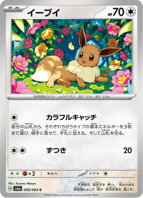 Eevee (JP) [Night Wanderer]