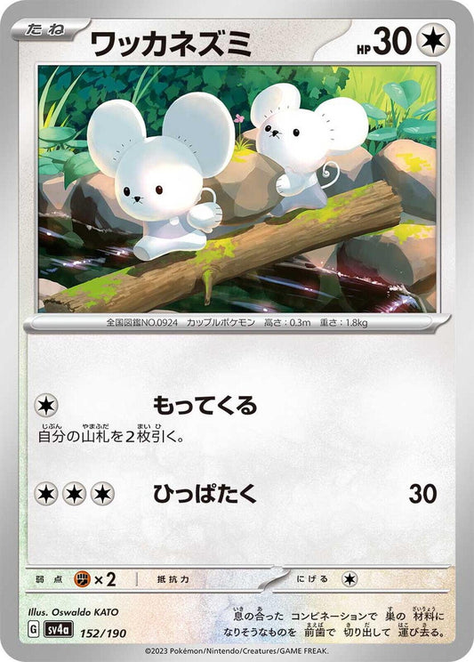 Tandemaus (JP) [Shiny Treasure ex]