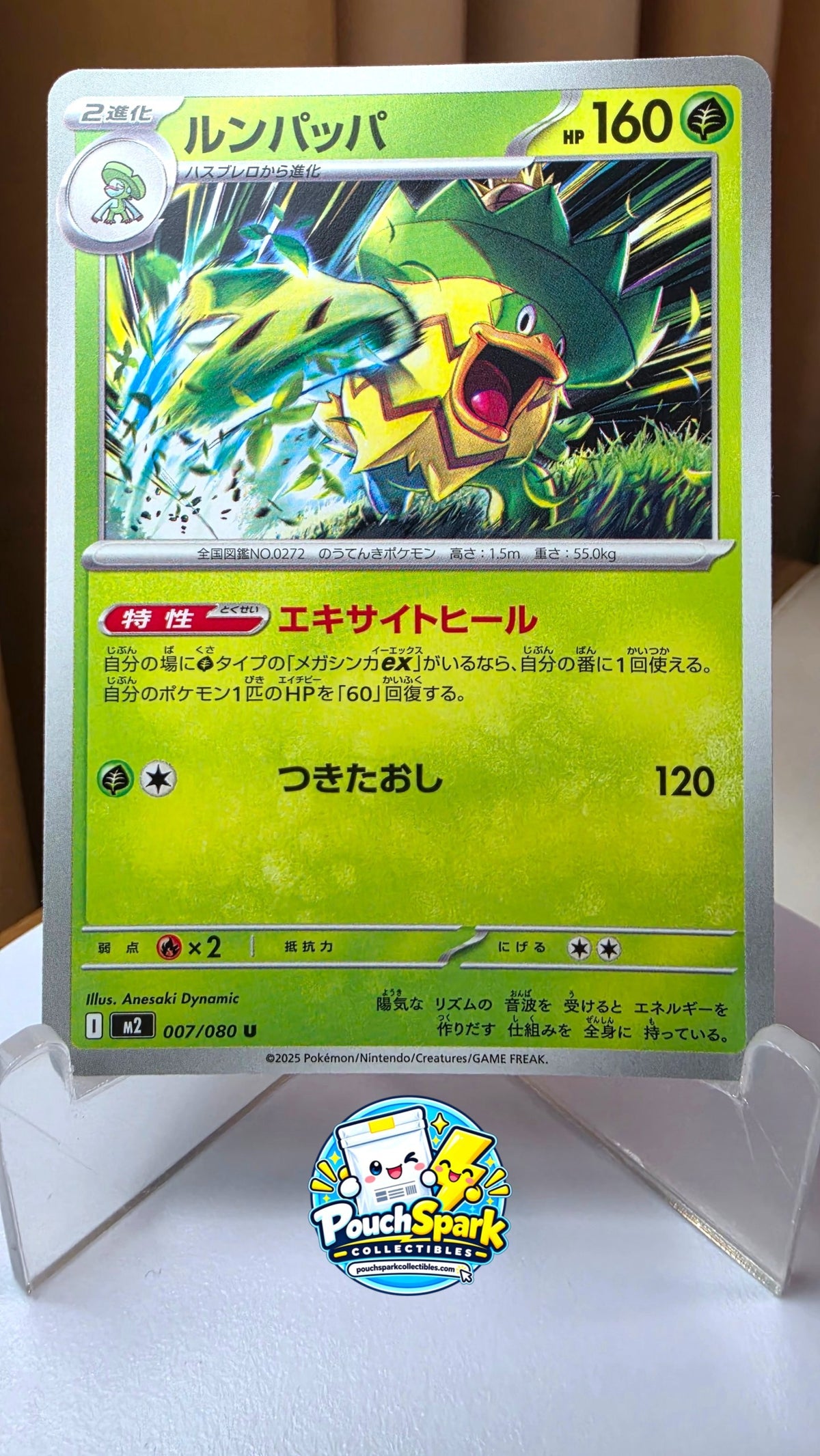Ludicolo (JP) [Inferno X]