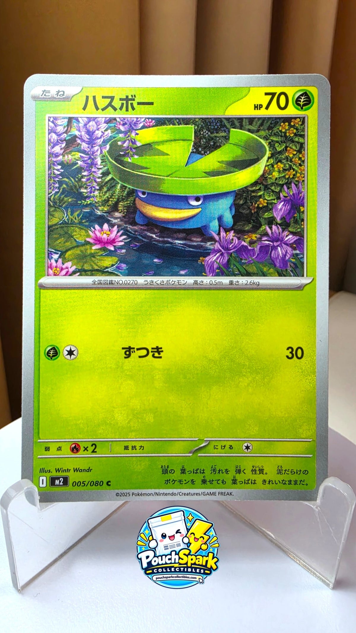 Lotad (JP) [Inferno X]