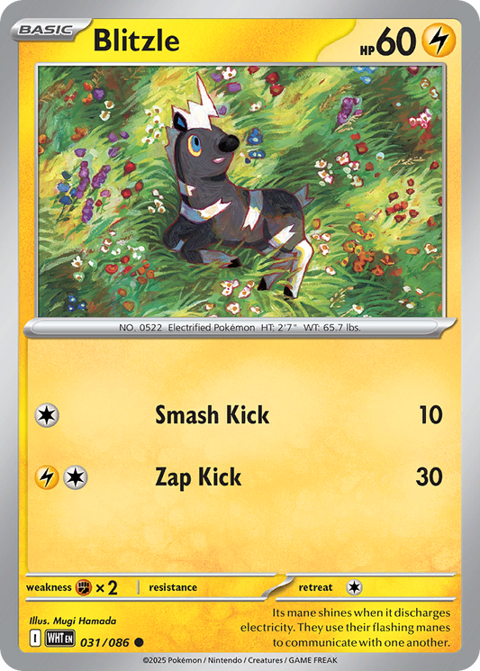 Blitzle — White Flare 031/086 Pokémon card