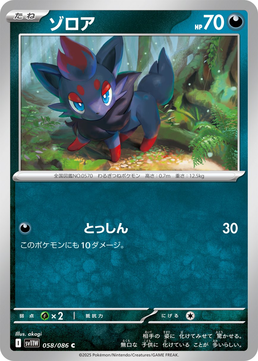 Zorua (JP) [White Flare]