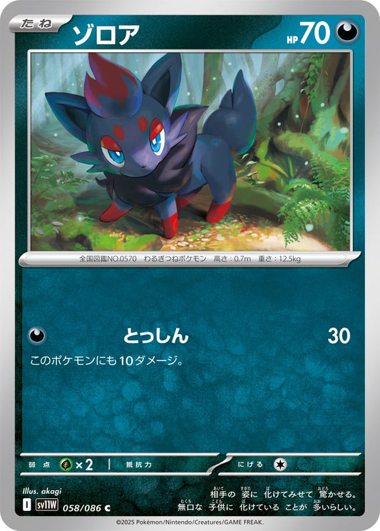 Zorua (JP) [White Flare]