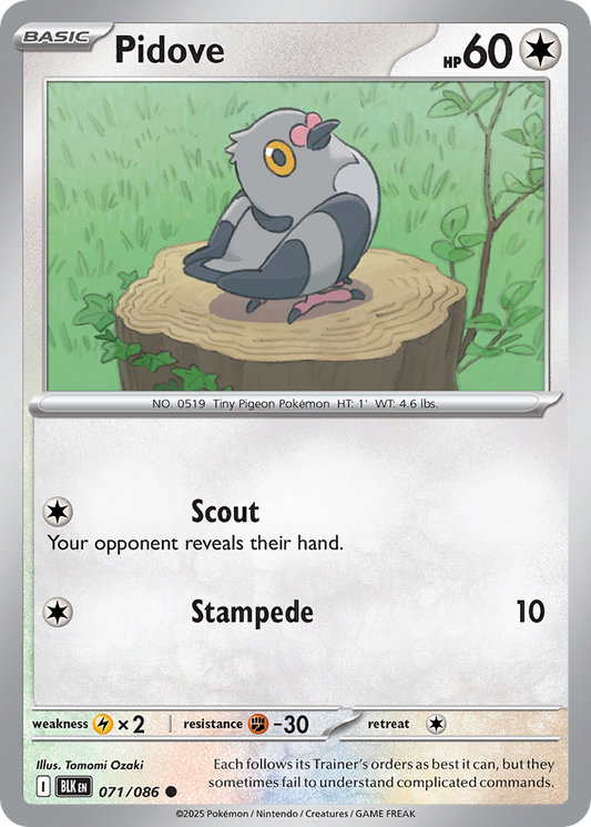 Pidove 071/086 — Black Bolt Pokémon TCG