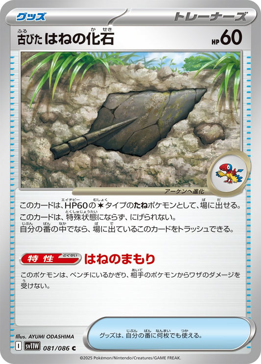 Antique Plume Fossil (JP) [White Flare]
