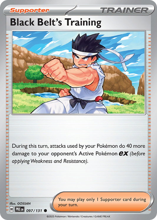 Black Belt's Training [Prismatic Evolutions]