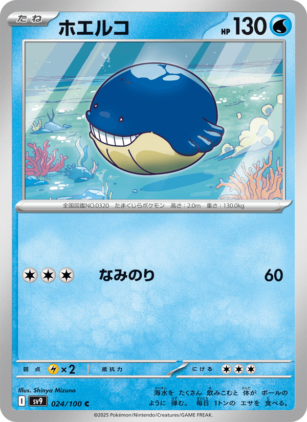 Wailmer (JP) [Battle Partners]
