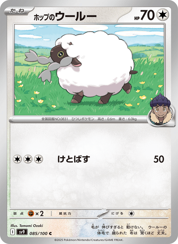 Hop's Wooloo (JP) [Battle Partners]