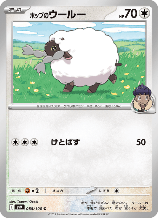 Hop's Wooloo (JP) [Battle Partners]