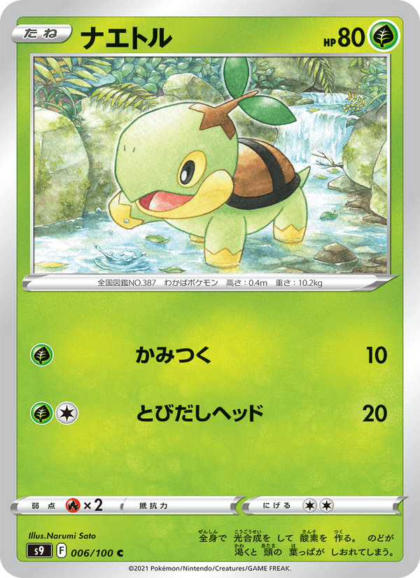 Turtwig (JP) [Star Birth]