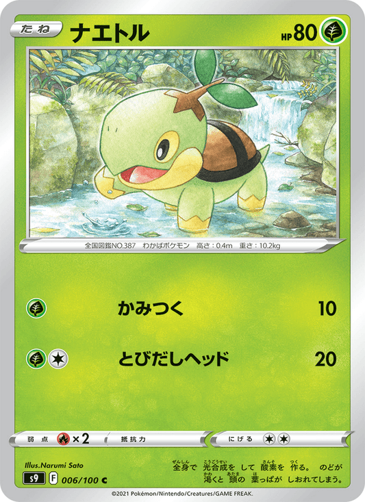 Turtwig (JP) [Star Birth]