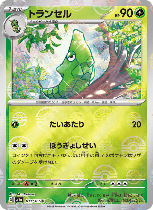 Metapod (JP) [151]