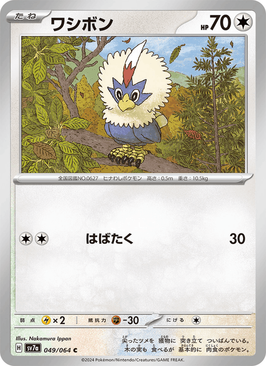 Rufflet (JP) [Paradise Dragona]