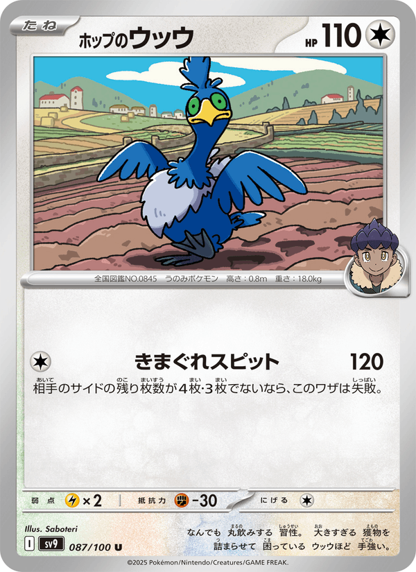 Hop's Cramorant (JP) [Battle Partners]