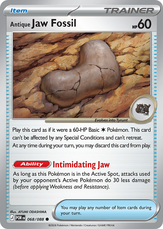 Antique Jaw Fossil 068/088 Perfect Order