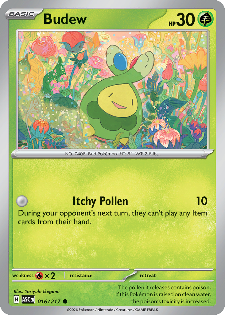 Budew [Ascended Heroes]