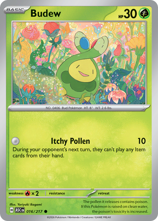 Budew [Ascended Heroes]